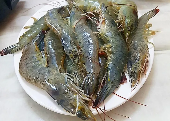 Hotel Nha Nghi Viet Khanh